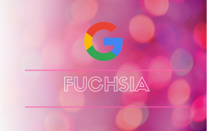 Google Fuchsia